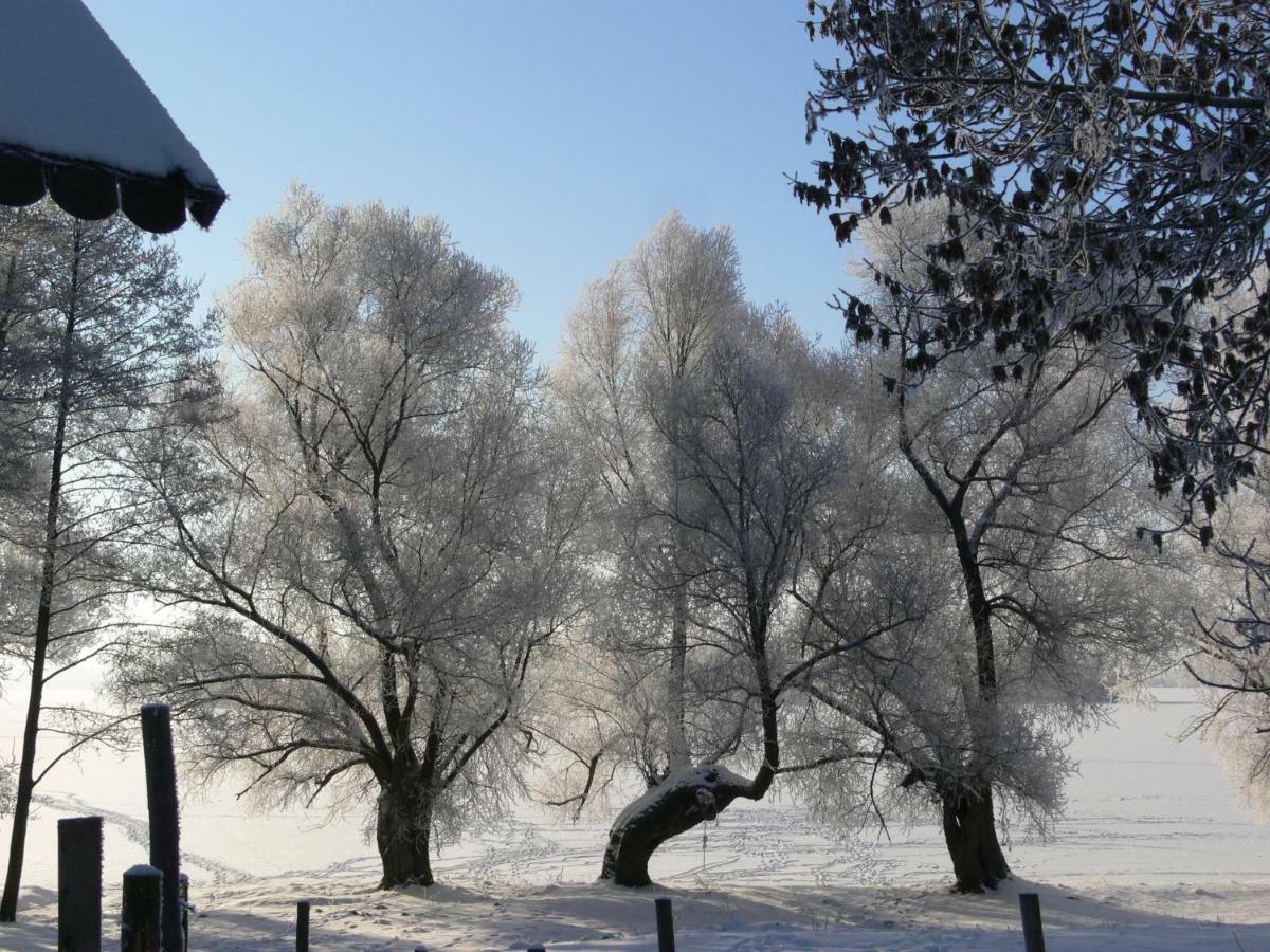 Zlota Lesniczowka Villa Rydzowka Eksteriør bilde
