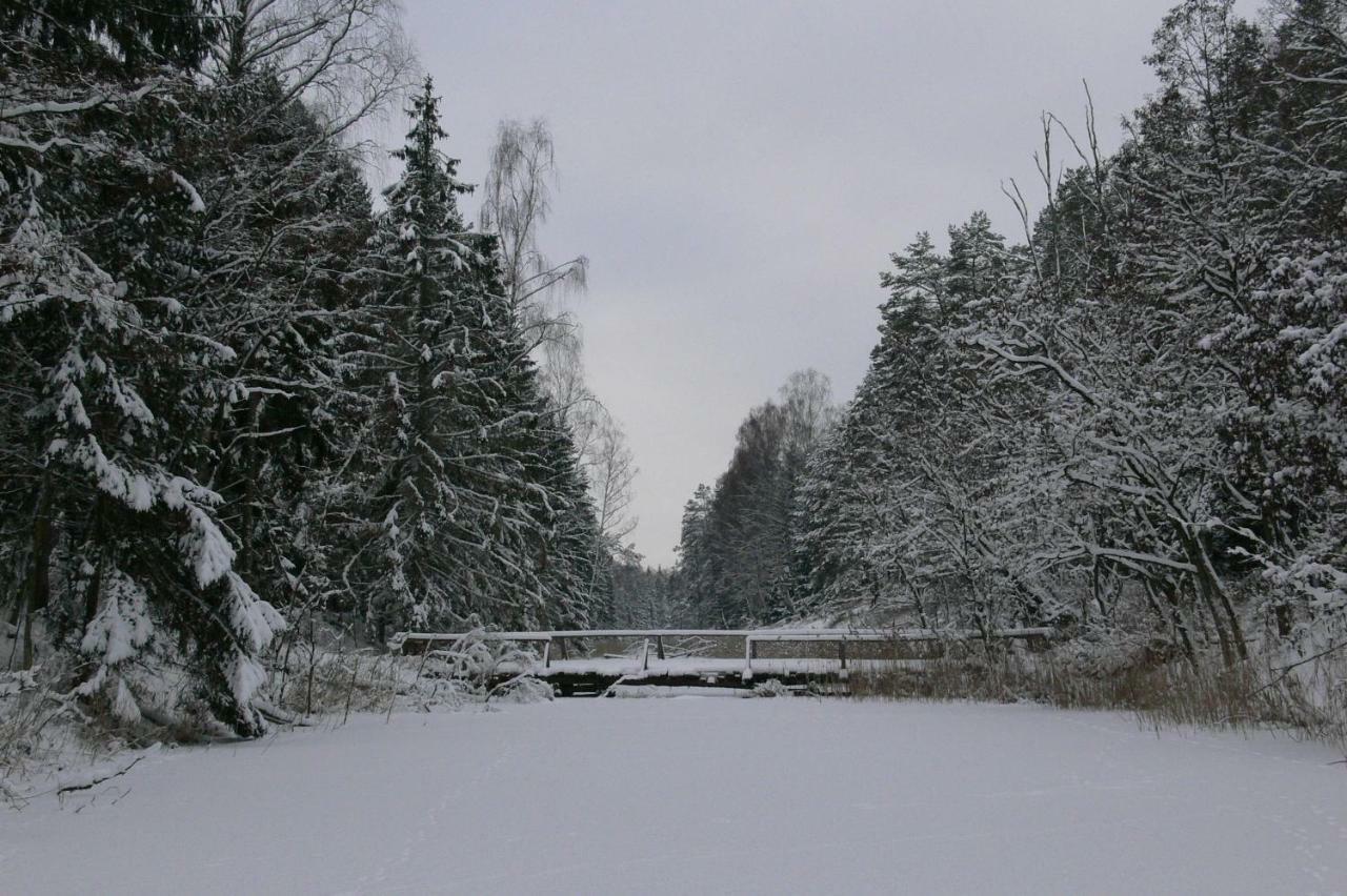 Zlota Lesniczowka Villa Rydzowka Eksteriør bilde